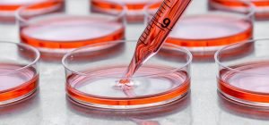 Read more about the article Nine Areas To Explore With Animal Cell Culture