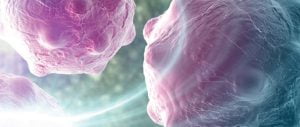 Read more about the article Why Researchers Have Shifted To Primary Hepatocytes To Study Drug Toxicity?