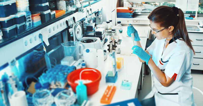 You are currently viewing Things To Learn About Primary Cell Cultures