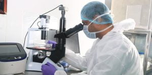 Read more about the article Technical Tips for hassle-free Primary cell culture