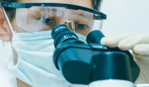 Read more about the article Primary Cells From Kosheeka: Define Your In Vitro System Without Losing A Sight Of In Vivo Situation