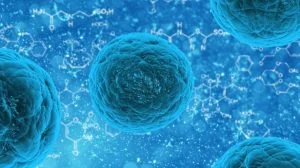 Read more about the article Cell Culture 3D: A Leap Towards In Vivo