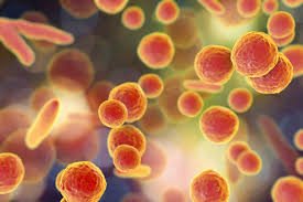 Read more about the article Mycoplasma- The Uninvited Invader of the culture lab!