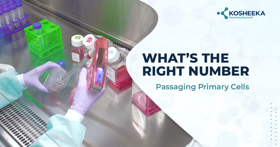 You are currently viewing What’s The Right Number: Passaging Primary Cells