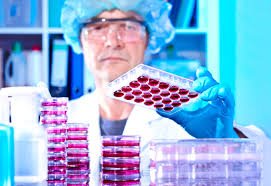 You are currently viewing ORGANISATION TIPS FOR MAXIMUM PRODUCTIVITY IN CELL CULTURE LAB!
