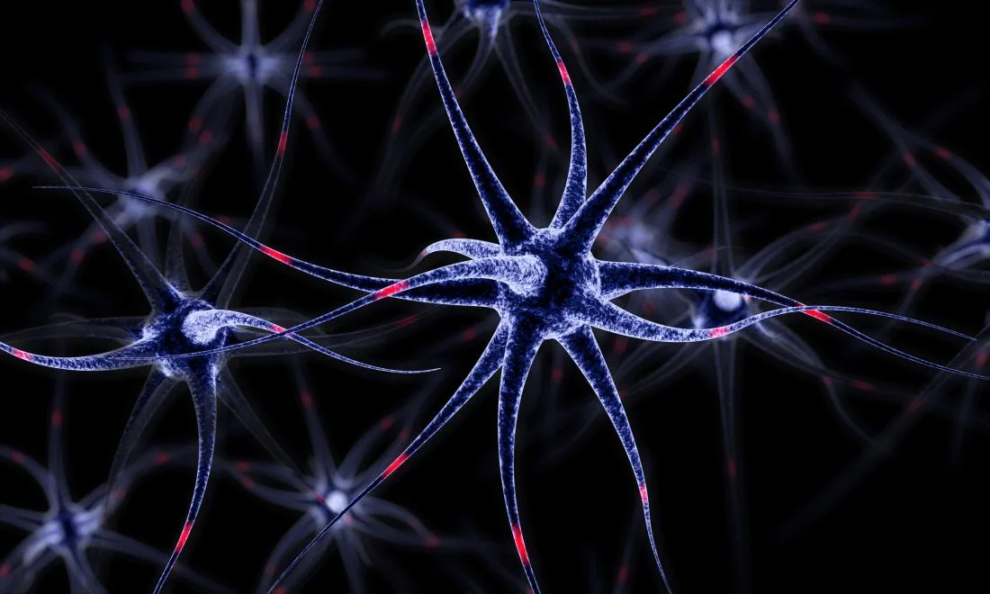 You are currently viewing Culturing The Multi-Faceted Satellite Glial Cells
