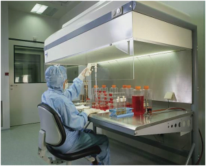 Read more about the article 15 Points For Primary Cultures In Biomedical Research