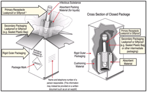 Read more about the article Primary Cultures Packing And Shipping: Vital Tips