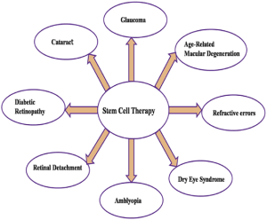Read more about the article Stem Cells For Treating Eye Cell Degeneration