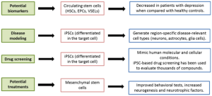 Read more about the article Using Mesenchymal Stem Cells To Treat Depression