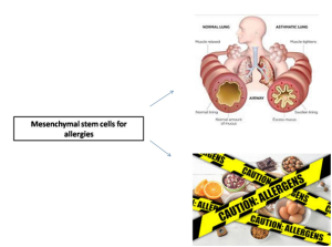 Read more about the article Stem Cells For Healing Allergies
