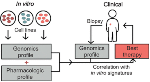 Read more about the article Tumor Cell Lines In The Clinic