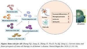 Read more about the article MSCs for Alzheimer’s disease