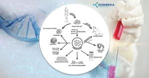 Read more about the article The Importance Of Primary Cell Culture For Cancer Research