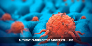 Read more about the article Authentication Of The Cancer Cell Line