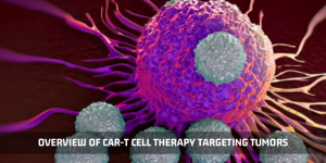 Read more about the article Overview Of Car-T Cell Therapy