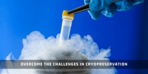 Read more about the article How To Overcome The Challenges In Cryopreservation?