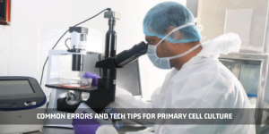 Read more about the article Common Errors And Tech Tips For Primary Cell Culture