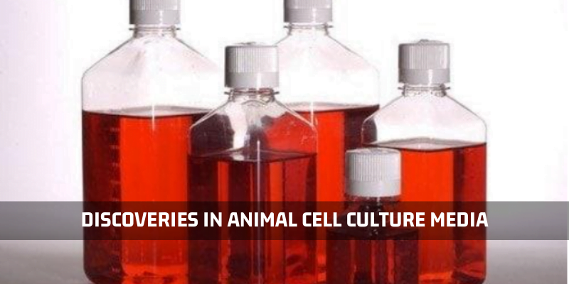 You are currently viewing Major Discoveries In Animal Cell Culture Media