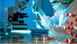 Read more about the article Applications of Primary Cell Culture in Research