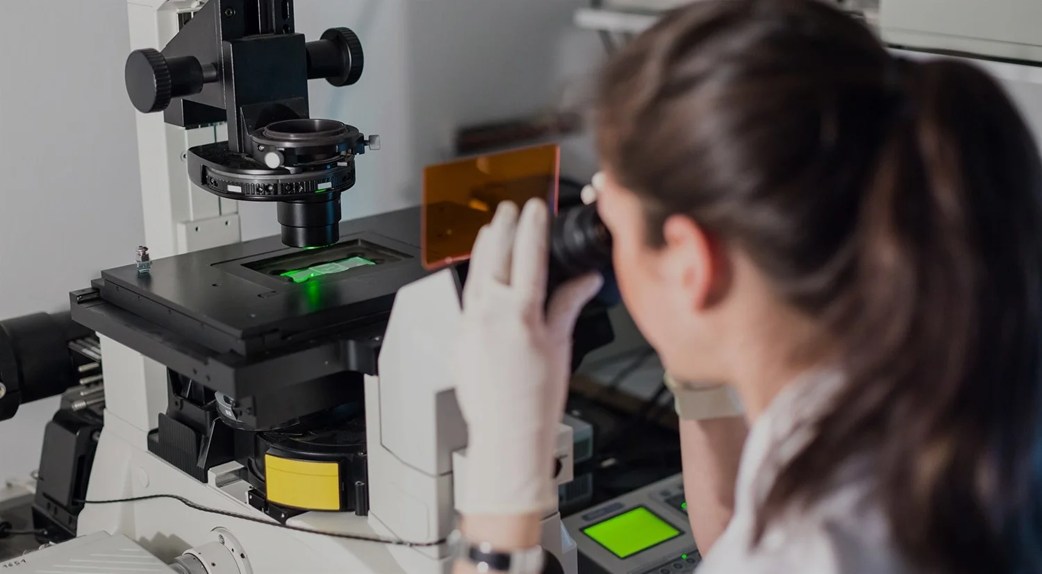 You are currently viewing How Primary Cells Are Important for In Vitro ADMET?