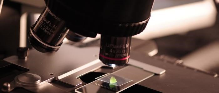 You are currently viewing Factors affecting Research Reproducibility in Biomedical Research