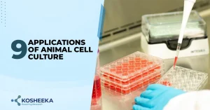 Read more about the article 9 Applications of Animal Cell Culture