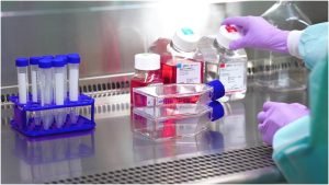 Read more about the article Differences and Advantages :Immortal Cell Lines and Human Primary Cells