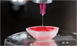 Read more about the article 3D Bioprinting- The Future of Primary Cell Culture