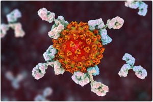 Read more about the article Antibody Purification- An Essential Research Procedure