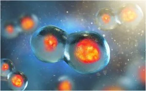 Read more about the article Skin stem cells- Recent Publications in Nature 2021