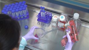 Read more about the article Better Cell Culture and Number of Quality Control Procedures to be Followed