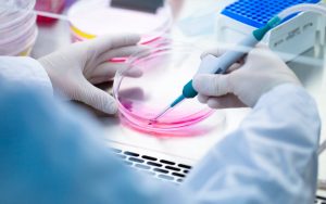 Read more about the article Potentials and Pitfalls of Growing an Eye In The Labs