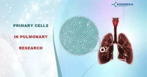 Read more about the article Primary Cells in Pulmonary Research