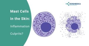 Read more about the article Mast Cells in the Skin: Inflammation Culprits?