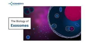 Read more about the article The Biology of Exosomes