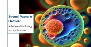 Read more about the article Stromal Vascular Fraction: A Review of Its Biology and Applications