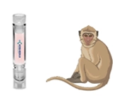 Cynomolgus Monkey blood mononuclear cells
