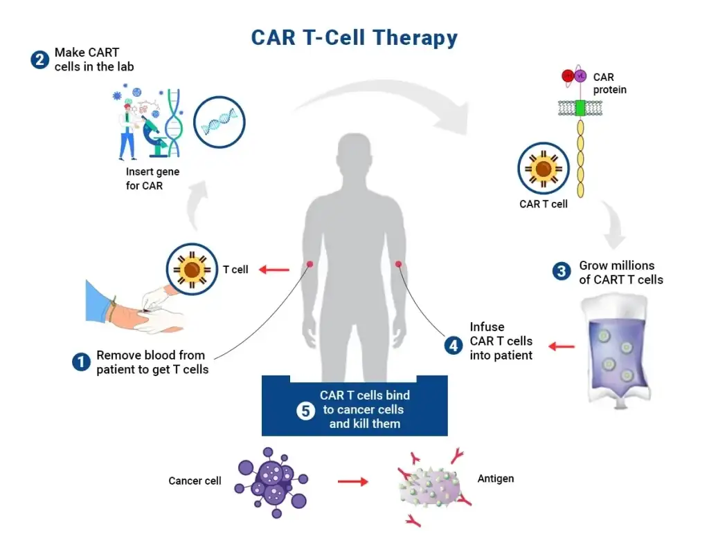 CAR T Cell