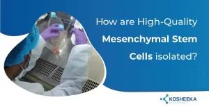 Read more about the article Why GMP Compliance is Paramount for High-Quality Mesenchymal Stem Cells