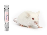 Swiss Albino Mouse Liver S9