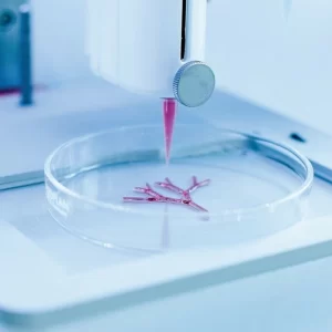 With the rapid development in the field of regenerative medicine, several stem cells can be good alternatives, holding promise for successful integration into 3D bioprinting applications.  