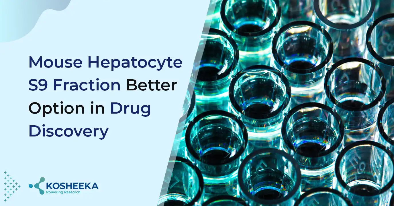 You are currently viewing Mouse Hepatocyte S9 Fraction Better Option in Drug Discovery