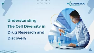 Read more about the article Understanding The Cell Diversity in Drug Research and Discovery