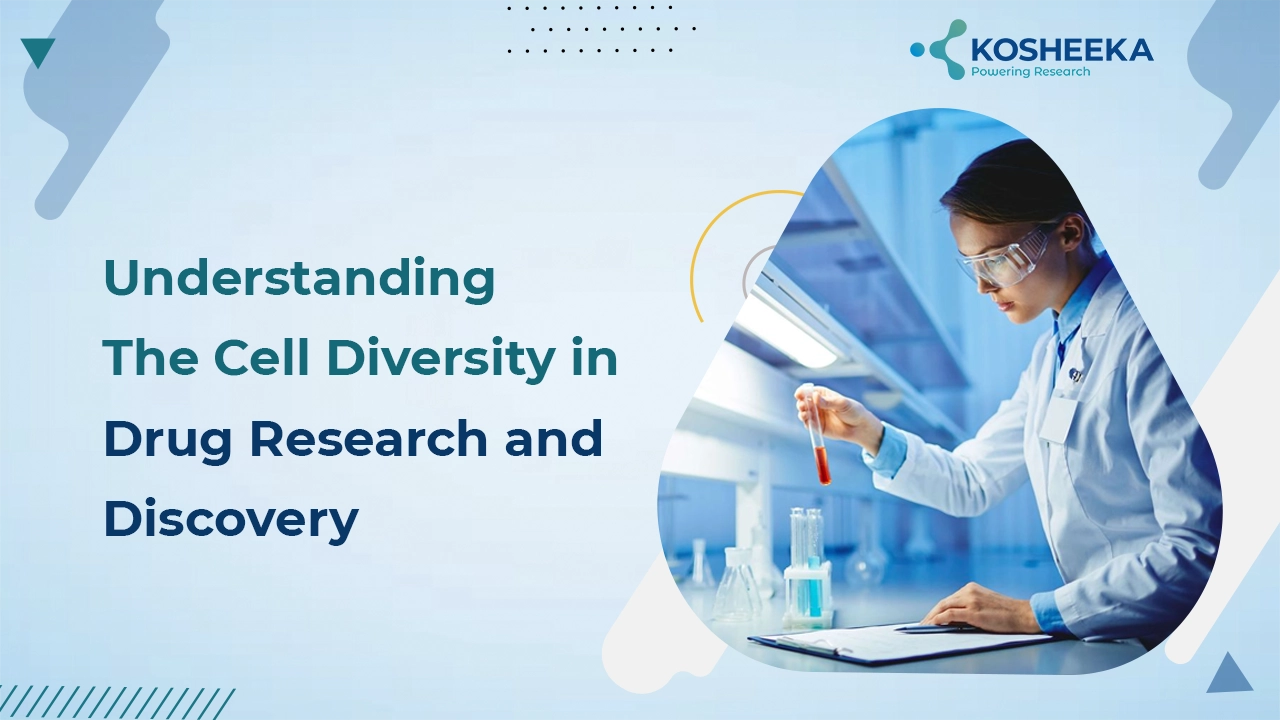 You are currently viewing Understanding The Cell Diversity in Drug Research and Discovery