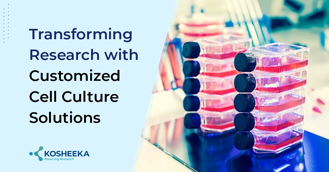 You are currently viewing Transforming Research with Customized Cell Culture Solutions