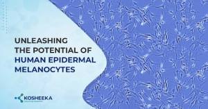 Read more about the article Unleashing the Potential of Human Epidermal Melanocytes
