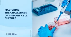 Read more about the article Mastering the Challenges of Primary Cell Culture: Unlocking True In Vivo Insights