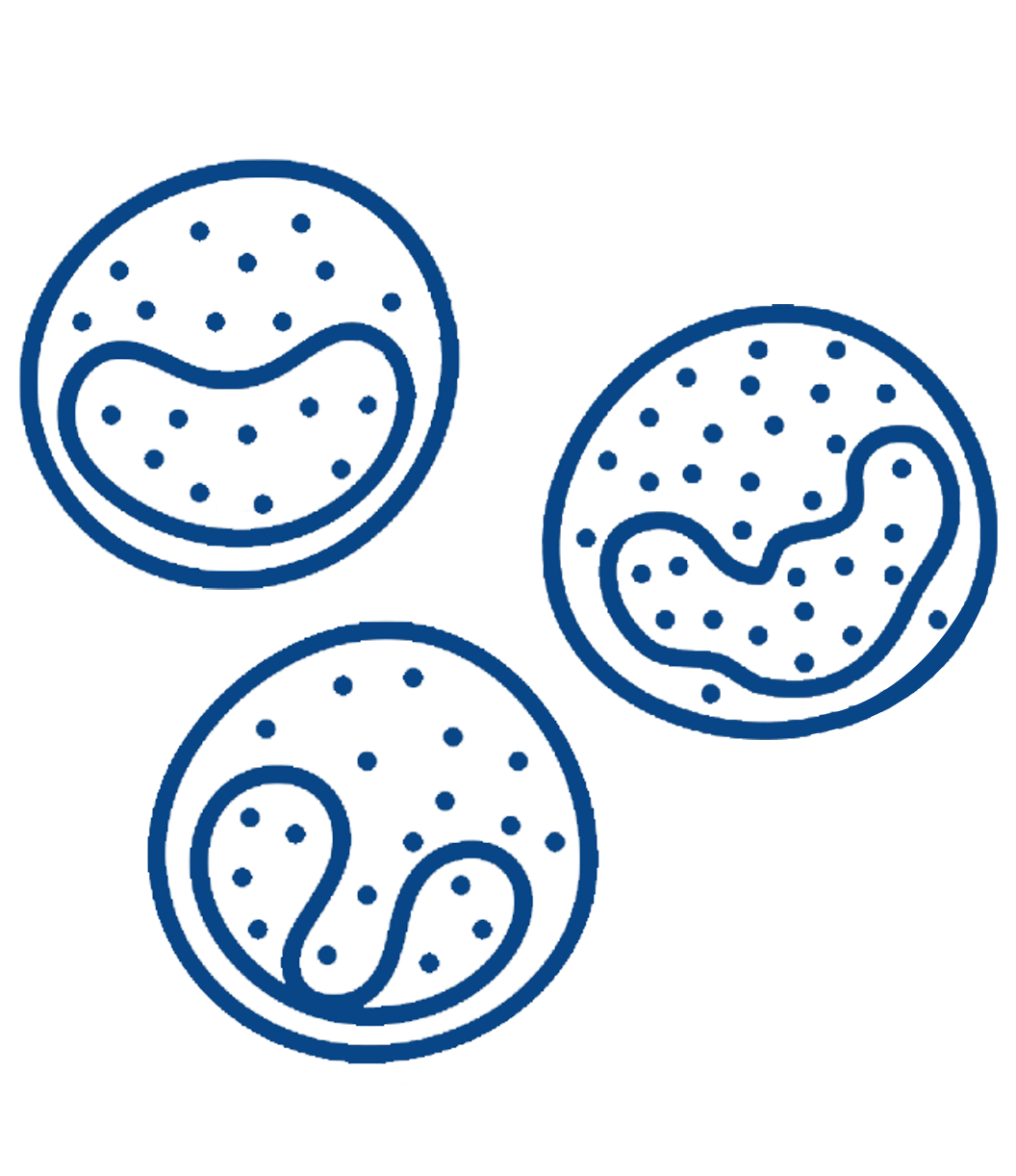 Primary Cells