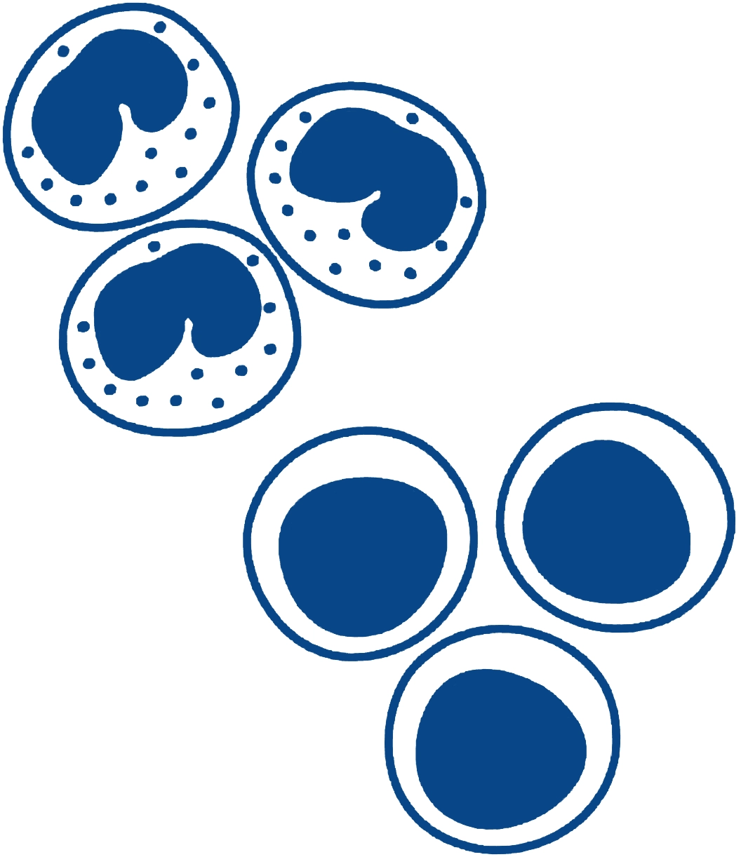 Primary Stem Cells